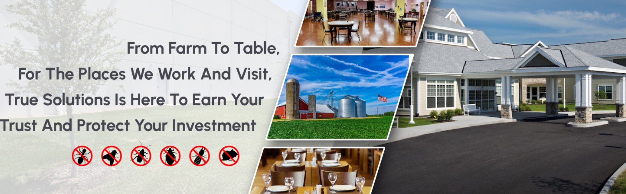 1757397165403668.jpg pest conmercial.jpg