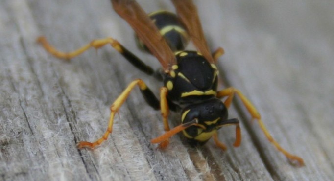 Screenshot 2025-09-11 142321.jpg