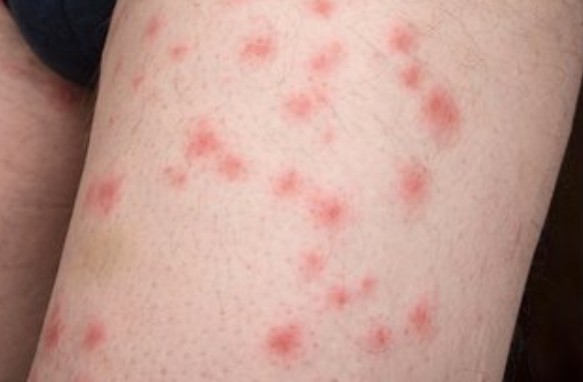 1757833967776939.jpg d5.jpg